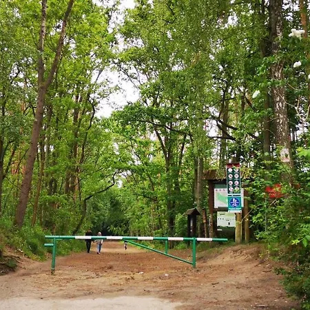 Classic Metro Kabaty *