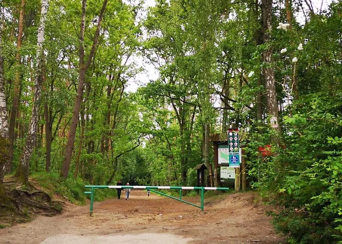 Classic Metro Kabaty *